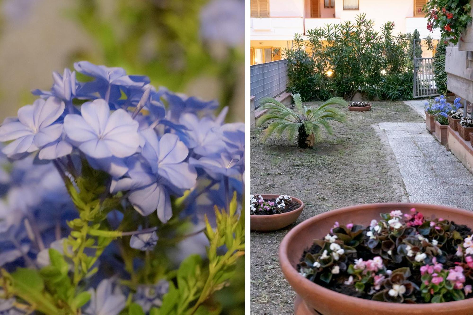 Ferienwohnung Il Giardino Civitanova Marche Exterior foto